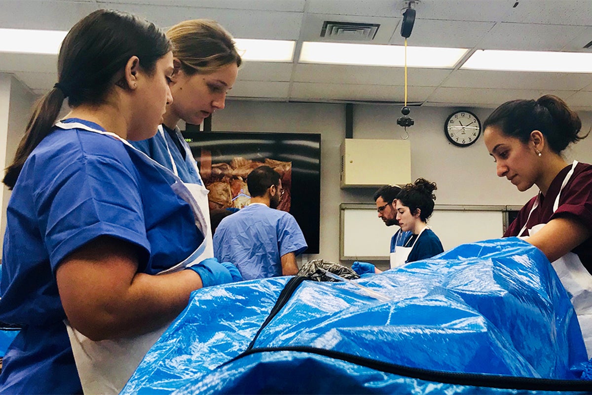 Students in anatomy lab