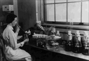 Sarah Stewart sits and works in a lab