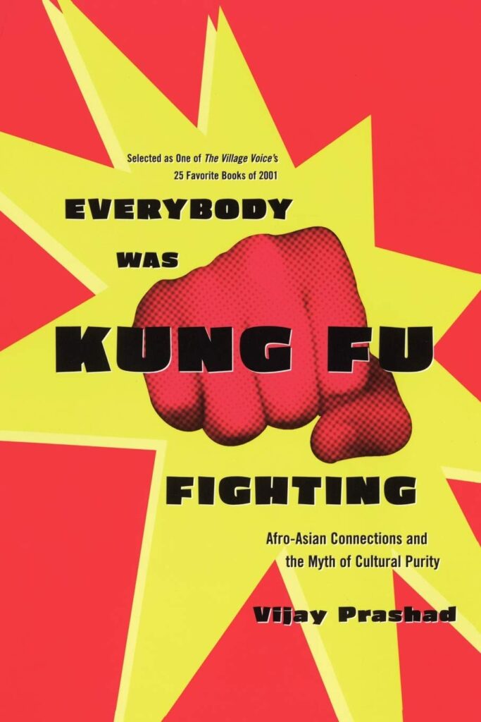 Everybody was Kung Fu Fighting book cover