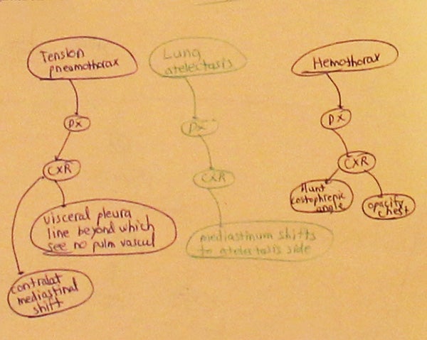 Medical terms appear inside circles that are connected to each other to show relationships between the terms