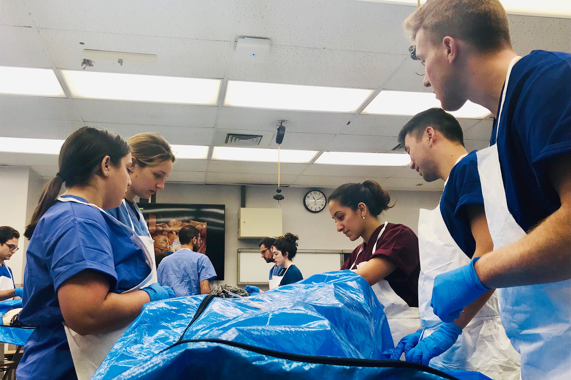 A group of medical students works around a cadaver in the anatomy lab