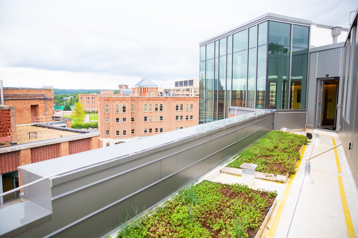 A rooftop garden