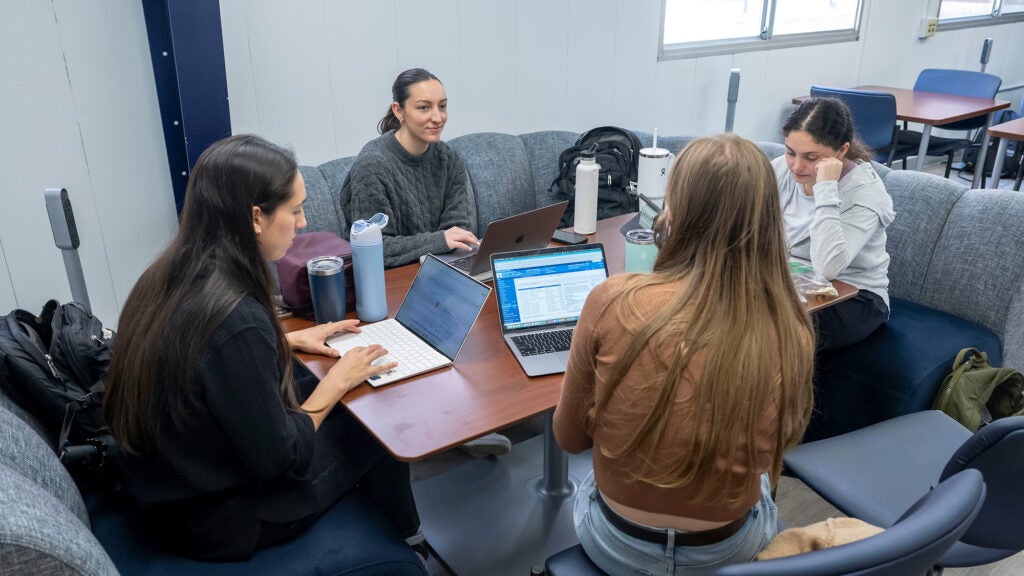 A group of four students studies in the Med-Dent Annex study room